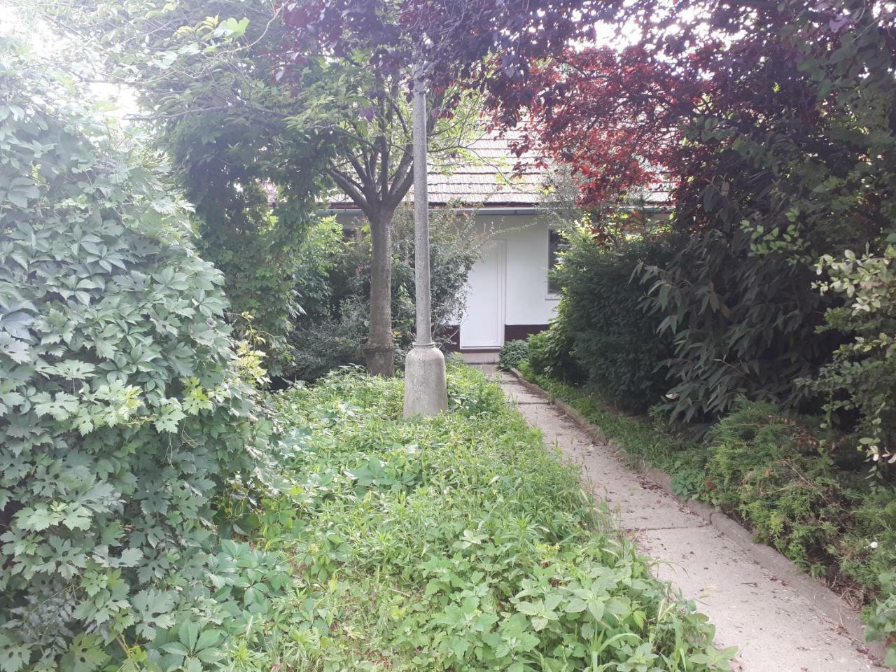 Apartmán - súkromie v meste  Bratislava Exterior foto